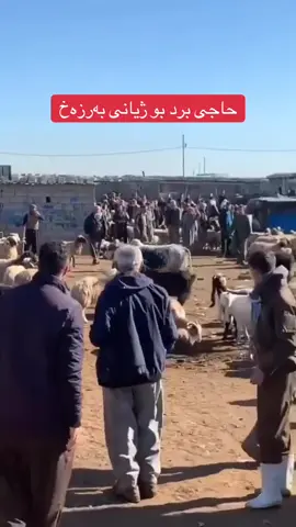 #دهوک_ئاکری_زاخو_شیخان_کوردستان #سلیمانیه_کةرکوک_اربیل_کردستان_عراق #foryou #😂😂😂😂😂😂😂😂😂😂😂😂ل😂 #ئەکتیڤبن🥀🖤ـہہـ٨ــہ 