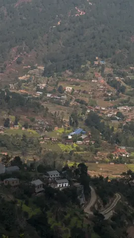 गाउघरको मायालाई भुलेको तिमिले