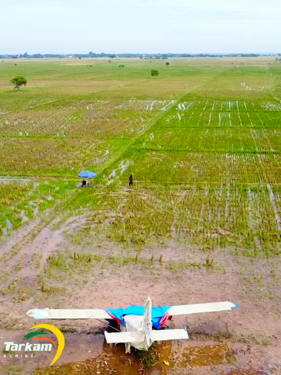 antusias warga semakin sore semakin ramai lokasi pesawat mendarat darurat di Karawang #pesawatkarawang #karawangviral #fyp #karawanghits 