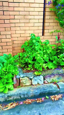 سخت است، وقتی در کوچه ها احساس غربت میکنی#foryou #viral #🇦🇫🥀🐦‍🔥🇦🇺 