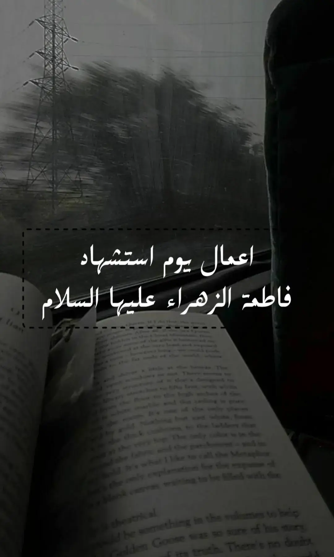 #امير_المؤمنين_علي_عليه_السلام  #fyp #tiktok  #fyppppppppppppppppppppppp  #foryoupage 