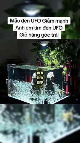 #phukienhoca #denhoca #denufo 