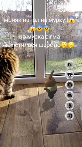 мурка сіґма😎😎😎