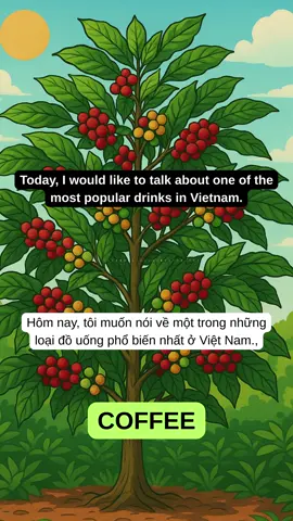 English Listening (A2/B1) - Coffee #luyennghetienganh  #englishpodcast  #hoctienganh  #luyennoitienganh  #tienganngiaotiep 