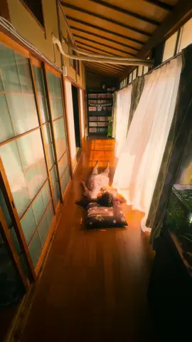 今年は「ただいま」をよく叫んだ夏だった。実家に帰っては遊び疲れて眠るこどもみたいに過ごしたな。