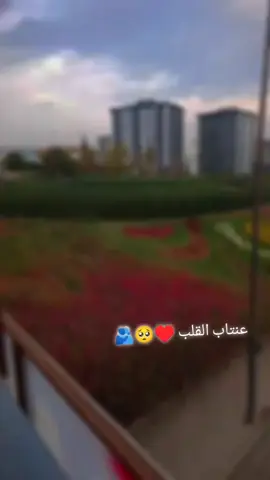 #عنتاب_الوطن💙 #القلب مين بيعرف وين هي #تفاعلوا_لايك_فولو_اكسبلوور_متابعه #شعب_الصيني_ماله_حل😂😂 #تصويري📸اكسبلوور 