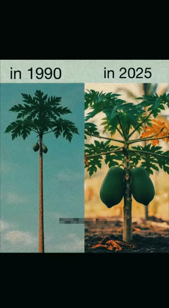 এই ছবি আমার বন্ধুরা ছাড়া কেউ বুঝবে না 🤞👀..........................................................................................................................................................................................................................................................!#fyp #foryou #viral#trending #tiktok 