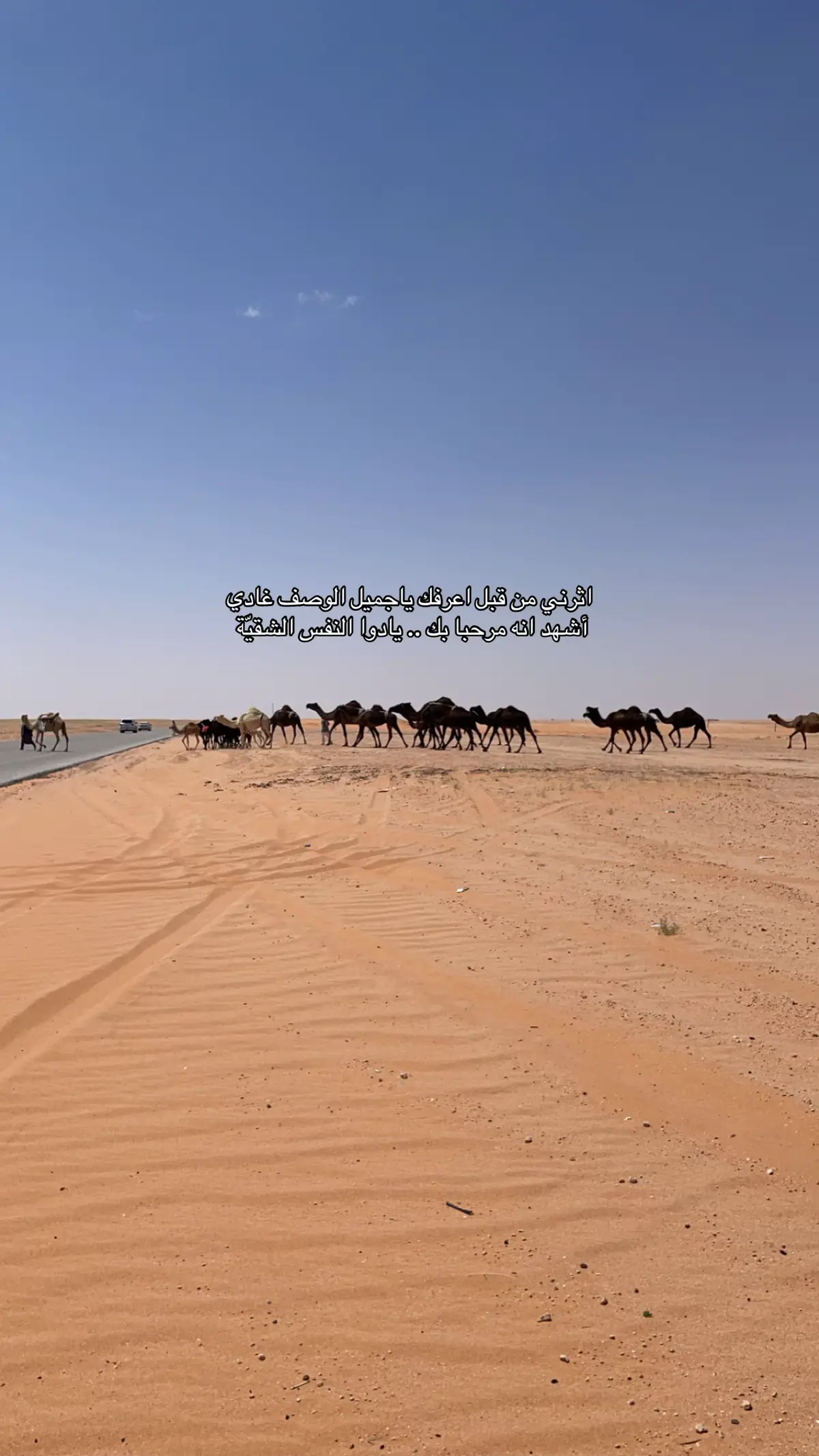 #foryou #شعر  #viral #4u  #دوسري_رايق 