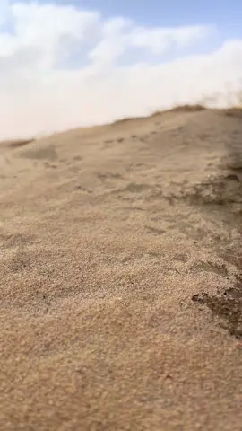 😅🤟🏻#بادية_السماوة #تصويري_احترافي_الاجواء👌🏻🕊😴 #كشتات_طلعات_البر #اكسبلورexplore 