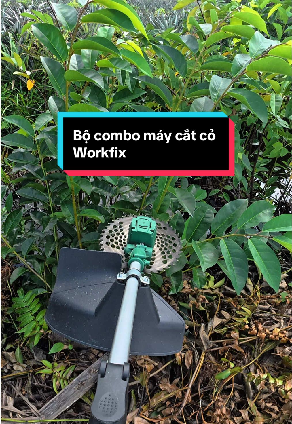 Bộ combo lưỡi cắt kết hộp thân máy cắt động cơ không chổi than Workfix #maycatco #maycatcodanang #maycatcopin #workfix #dungcucamtay 