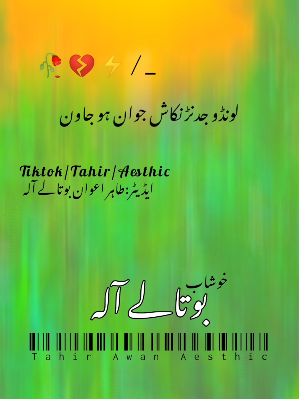 #foryou #fyp #urdushayari #punjabipoetry #kawishtamimi 