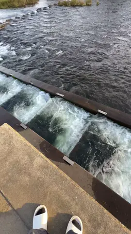 Awan yang cerah☁️ #kenshuuseijapan🇮🇩🇯🇵 #sunset #japanvibes #ontel #kerjadijepang 