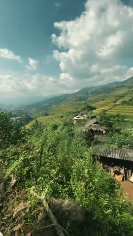 Đường lên mù căng chải thật tuyệt vời #mùcangchải #dulichtaybac 