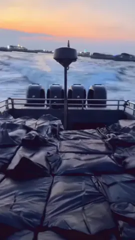 kiếm ăn#kysuvungbien🇻🇳#biengioiviettrung🇻🇳🇨🇳#vanchuyenhangtrungviet#biengioiviettrung