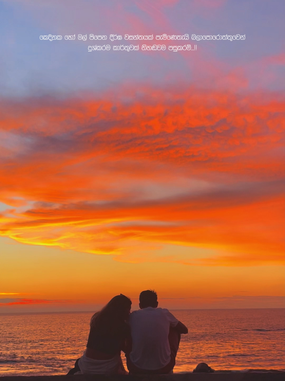 කෙදිනක හෝ හමුවේයැයි සිතන ප්‍රේමණීය ආත්මය වෙත ලියමි... ඔයත් එක්ක බෙදාගන්න  දේවල් ගොඩක් තියේ.. ඒ හැමදේම මට මෙතන කියන්න බෑ... ඒත්,   මට හරි ආසයි... ගාලු කොටුවට වෙලා ඔයා ළඟින් ඉඳගෙන මුළු අහසම හරියට චිත්‍රයක් වගේ පේන දවසක  ඉර බහින හැටි බලන්න.. ඔයා දන්නවද ?... ඉර මුහුදේ හැංගිලා ගිහින් හරියටම මිනිත්තු 7කට පස්සේ තමයි, අහස ලස්සනම වෙන්නේ.... තව.. මහ හයියෙන් වහින දවසක... දුඹුරු පාට Lights දාපු හැමතැනම පොඩි කොළපාට පැල තියෙන.. Background එකෙන් හෙමීට Violine Part එකක් ඇහෙන පුංචි Coffee Shop එකක උස වීදුරුවක් ළඟ හියෙන කෙලවරේම Table එකේ ඉඳගෙන ඔයාගේ හිනාවෙන ඇස් දිහා බලාගෙන උණුම උණු Coffee එකක් බොන්න..... මං හිතනවා... මට ඒ වෙලාවට මුළු ලෝකෙම තප්පර ගානකට නැවතිලා වගේ දැනේවි..! Van Goah තරම් බැරි උනත් මට ඕනි ඔයත් එක්ක... කොල පාටින් වට උන  ලස්සන තැනක ඉඳන්... පාට ගොඩක් පිරුණු දියසායම් චිත්‍රයක් අඳින්න...  මං ඔයාගේ මූණේත් පාට ගෑවම බොරුවට කේන්ති අරන් මගෙ දිහා බලන හැටි හිනා වෙවී බලාන ඉන්න.... සීතල දවසක... Bike එකේ බොරලන්දේ ඉඳන් ඔහිය හරහා මීදුමින් වැහුන උස පයිනස් ගස් මැදින් තියෙන පාර දිගේ Hortn Plains වලට යන්න.. හිරි පොද වැටෙන දවසක Car එකේ එහා පැත්තේ Seat එකේ ඔයාව තියාගෙන... කසුන්ගේ 