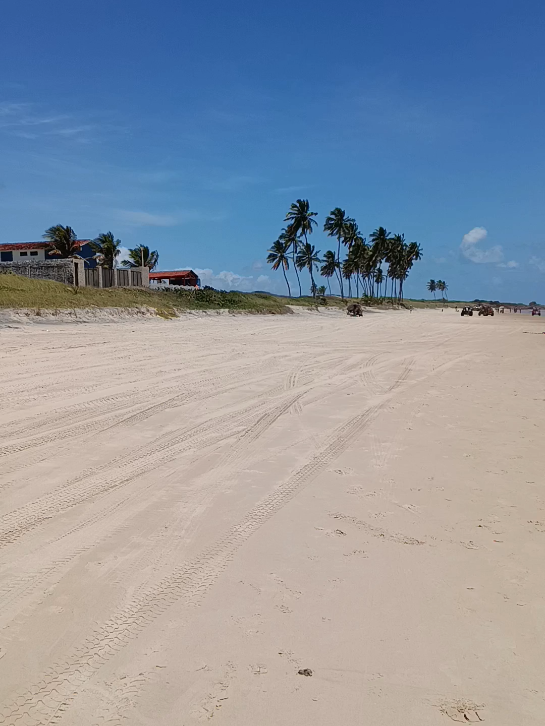 PRAIA DE PEDRA DO XARÉU, PERNAMBUCO.#TikTokSaúde #saudedamulher #seried #enseadadoscorais #portodegalinhaspasseios #IBISCO #percapeso #percapesodeformasaudavel #vinagredemaçã