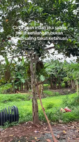 bujur kah?✌️ #fyp #storykatakata🥀 #storysupirtruk #justkontenツ #kalimantanpride🔥 @lidadong68🇲🇦 