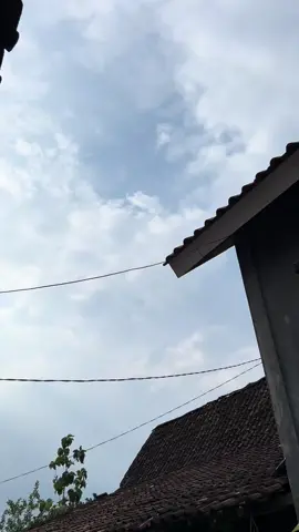 🙏#foryoupage #xzbcya #rxkingsolostyle 