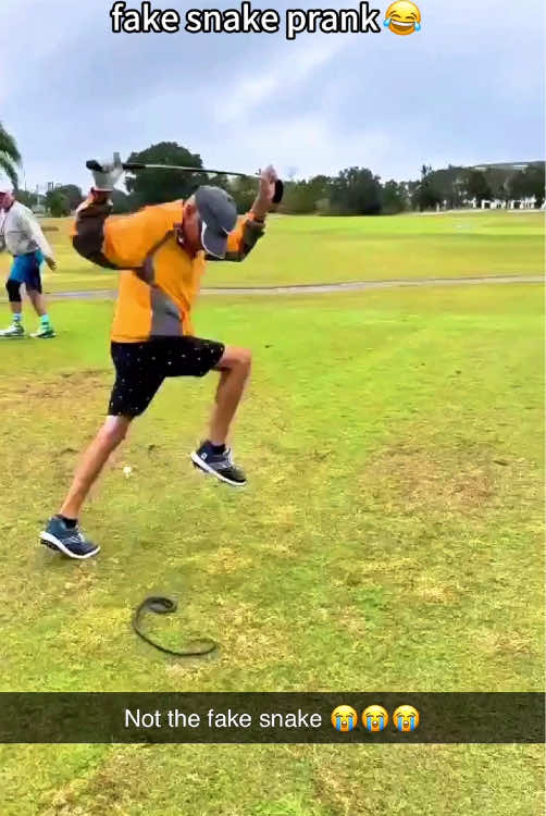 Fake snake prank#tiktok #prank #happy #froyou #fyp