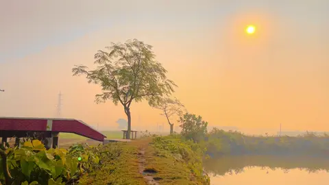 প্রকৃতি 🌸❤️‍🩹 #viral #fyp #natural #foryoupage 