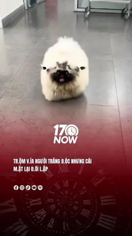 Sao mà cái m.ặt đ.en th.ui thế này #17network #17now 