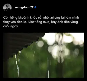 Có những khoảng khắc rất nhỏ nhưng lại làm mình bình yên đến lạ. Như tiếng mưa, hãy ánh đèn vàng cuối ngày.  #vuong_doan22 #tinhtam 