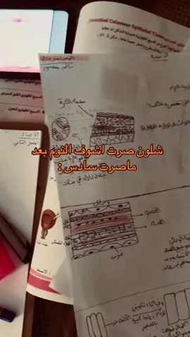 صرت اتحسر على نومة 🥲💔#سادس_علمي #شعب_الصيني_ماله_حل😂😂 #دفعه2025 #طلاب_السادس #سادسيون 