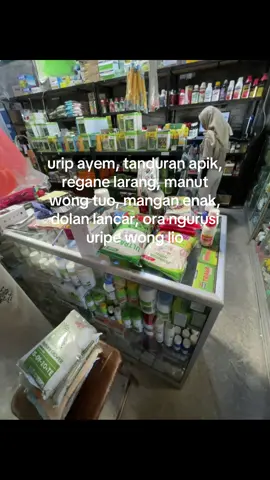 krungu” regone wes anget🌶️ tenan pora cah😂 #petanicabai #petaniindonesia🇮🇩🇮🇩🇮🇩🌿 #petanimuda #petanigenz #petanicilik 
