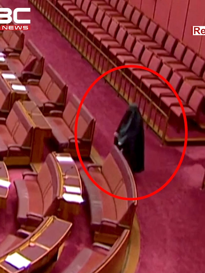 বোরকা পরে অস্ট্রেলিয়ান পার্লামেন্টে প্রবেশ, তীব্র বিতর্ক