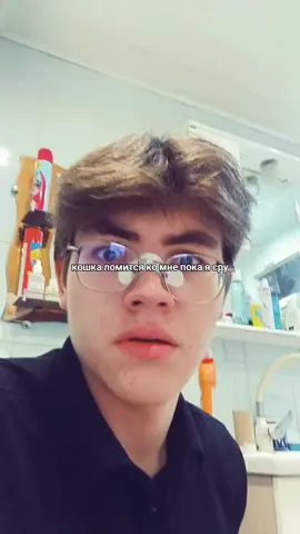 этот мир сошел с ума #щп #viral #fyp #cat #animal 