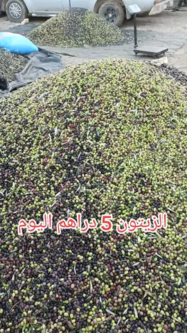 الزيتون 5 اليوم سوق الإثنين الولجة شراݣة اقليم تاونات 