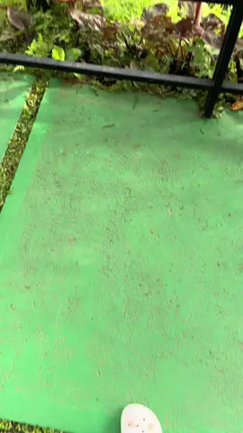 Rindu ini masih milikmu… #kenanganhanyauntukmu  #tollywood #fypシ #fyp 