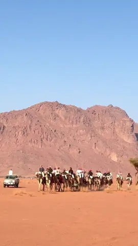 #هجن_الاصايل #هجن_الشمال #اكسبلور #الشعب_الصيني_ماله_حل😂😂 #هجن_السعودية 