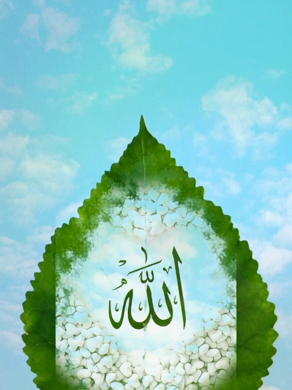 #CapCut #foryou #foryou♥️♥️♥️♥️♥️♥️♥️♥️ my tiktok account unfreeze ♥️♥️♥️♥️👍👍👍👍👍👍👍