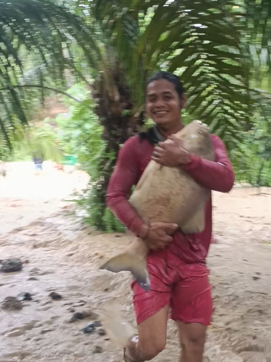 #หาปลาในวันที่น้ำท่วม #ปลาตัวใหญ่มาก  #น้ําท่วมหนักภาคใต้ 