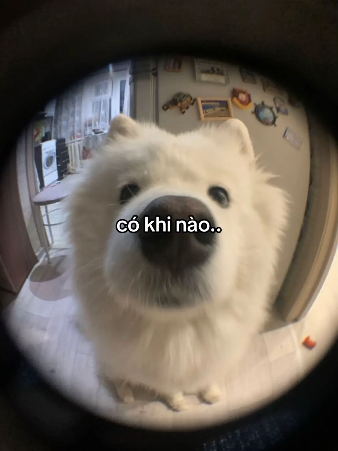 #_lthc_0306_ #ltcxuhuong 