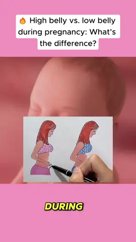 High belly vs. low belly during pregnancy: What's the difference? #pregnancy #pregnantok #pregnant #pregnancyjourney #pregnantlife 
