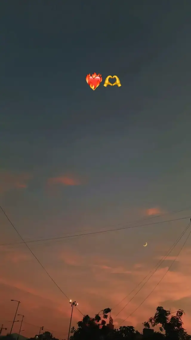 #algeria #maroc #tunisia #تصميم_فيديوهات🎶🎤🎬 #tiktok      