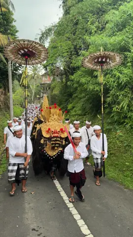 Alep kabinawa🌺#sesuhunan 