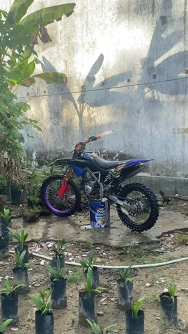 155 nya kakak#klxler197 #beranda #fyp #beranda 