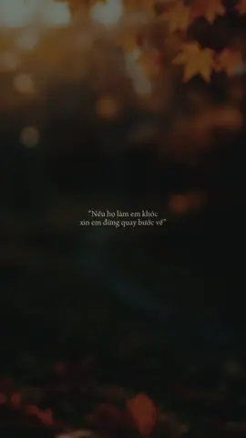 Nếu họ làm em khóc xin em đừng quay bước về…😔 #khongcoten #nhactamtrang #nhacthattinh #fyp #xuhuong 