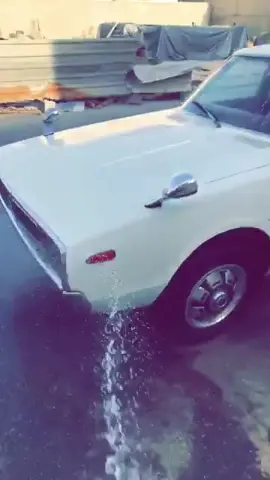 #explore #الانتشار_السريع #fyp #وحيدين_الشرق #عكاش 