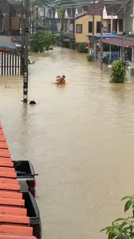 1ชีวิตก็มีค่า😢😢 ปล่อยผ่านไม่ได้จริงๆ น้องตะกายจนหมดแรงถ้ช่วยช้ากว่านี้ซักนิดเดียวน้องคงไม่รอด รูปนี้ไม่ได้ตั้งใจถ่าย ขอบคุณพี่ข้างบ้านที่แอบถ่ายรูปไว้ให้ครับ #หมาจรก็มีหัวใจ  #หาดใหญ่น้ําท่วมหนัก 