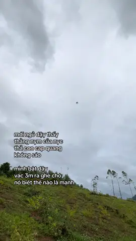 Cho biết thế nào là mạnh luôn haha 😝 #dieusaovietnam #xuhuongtiktok #vairal #dieu_sao_viet_nam #hunglangson2008 