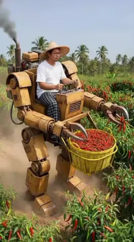 Panen cabe dengan robot #kebuncabe #cili #pertanian #pedesaan 