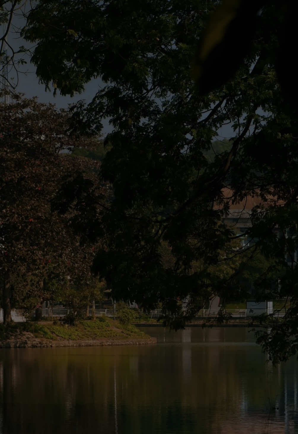 Bài này hay#taos_ig20 #capcut #capcutpioneer #pioneertemplate 