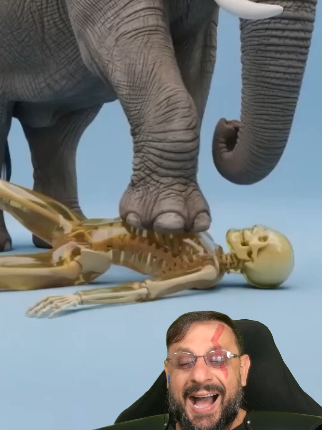 Animais que matariam um ser humano com uma única pisada #biologohenrique #animais vídeo de @homosapienstv