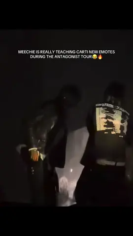 #playboicarti #antagonisttour #meechie #iammusic 