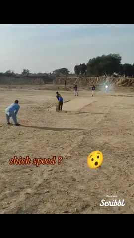 balar speed ? + SONG #🏏🏏🏏 #unfreezemyacount #1mviews 