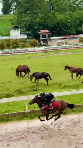 Historia Guti #pacukudasumbar #pacukudaindonesia #pacukuda #fyp 